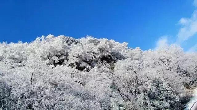 探索知识星球平台,发现女生介意男朋友身高吗?精彩世界
