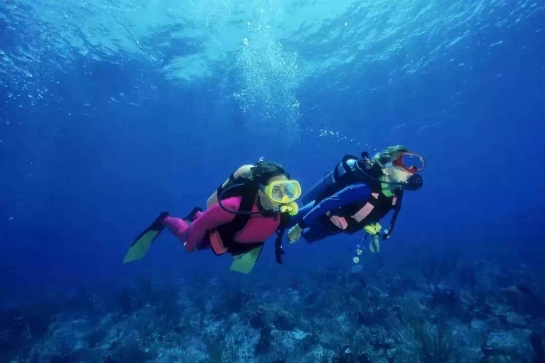 觉得无论选择什么样的工作,没有成为中产阶级,怎么感觉是在走父母的老路?-专业红迪网平台推荐